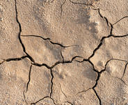 Cracked dry earth texture with various patterns and shades of brown.