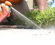Person spraying sealant on sidewalk edge next to grass.