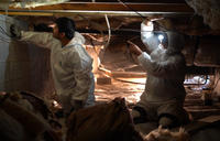 crew inspecting crawl space