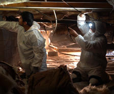 crew inspecting crawl space