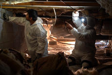 crew inspecting crawl space