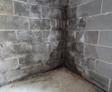Basement Before
