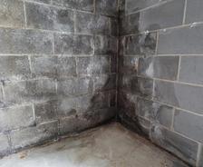 Basement Before