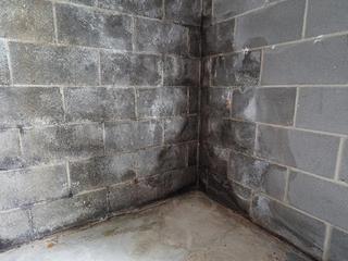 Basement Before