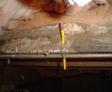 wood rot in crawl space