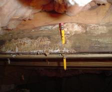 wood rot in crawl space