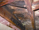 mold and rot in a crawl space