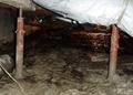 Old, corroded crawl space jack posts in Mobile.