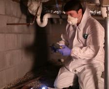 AFS Inspector in health & safety suit