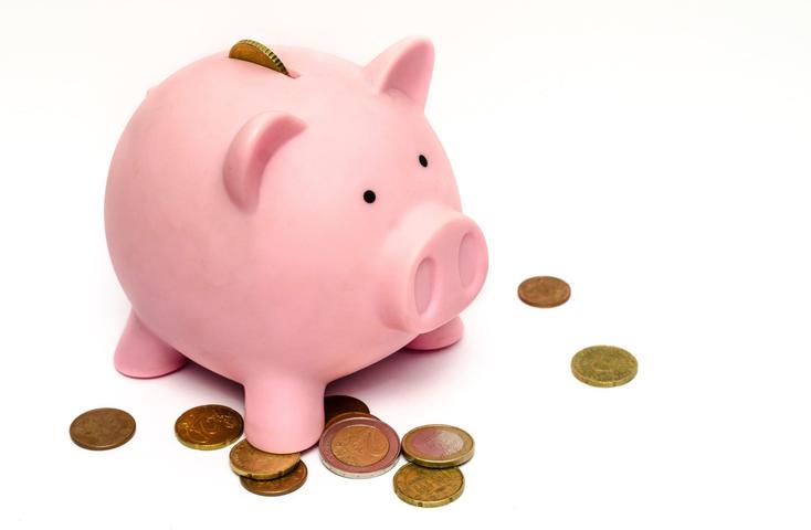 A pink piggy bank with coins scattered around it, saving up for crawl space repair cost, against a white background.