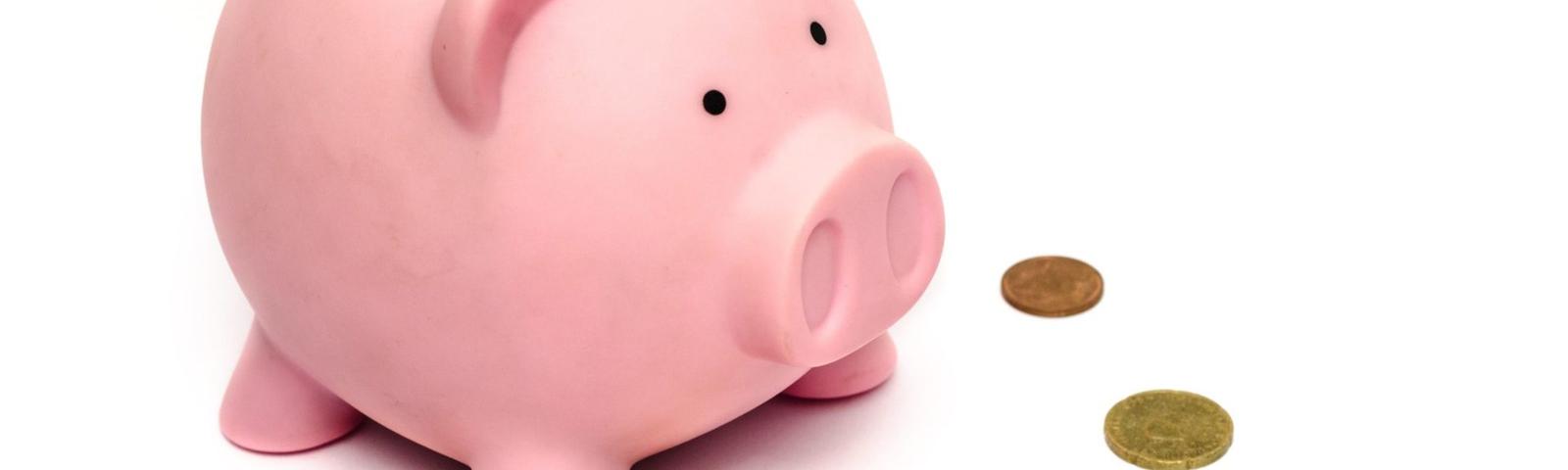 A pink piggy bank with coins scattered around it, saving up for crawl space repair cost, against a white background.