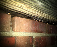 Condensation on joists in crawl space.