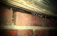 Condensation on joists in crawl space.