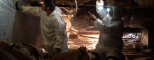 AFS crew members inspecting crawl space.