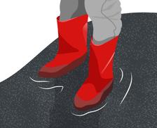 effects of standing water on tennessee homes