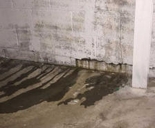 common basement problems