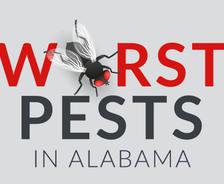 Home pests in Alabama
