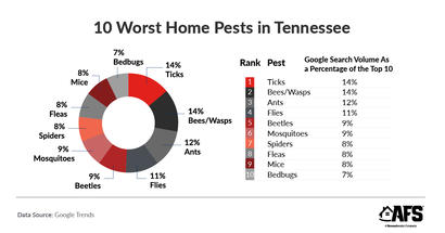 ranking Tennessee’s worst home pests