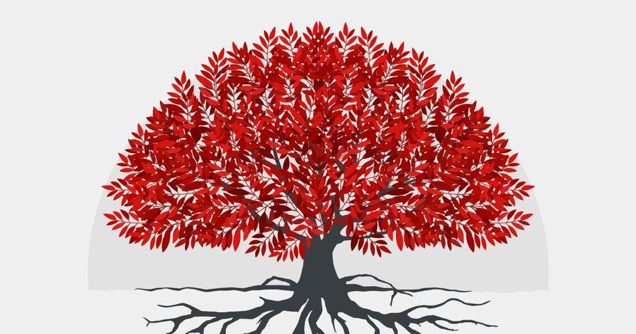 worst plants and trees to have in your yard in alabama