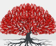 worst plants and trees to have in your yard in alabama