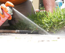Person in gloves sprays foam sealant and termiticides along the edge of grass near a sidewalk in bright sunlight.