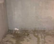 leaking wall
