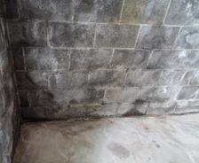 efflorescence on wall