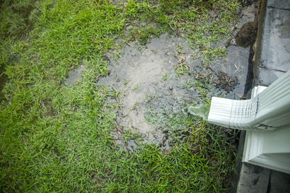 Water pouring from a downspout onto a grassy lawn, causing a puddle.