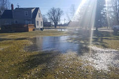 Flooded back yard