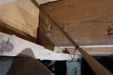 Compromised floor joist