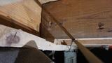 Close-up of wooden beams, including a rim joist, in a crawl space with visible wiring and pipes.