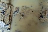 Murky, beige liquid covering uneven terrain with small dark debris scattered throughout.