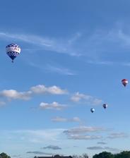 Four hot air balloons floating in a blue sky with scattered clouds above trees and rooftops.