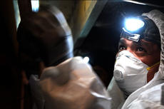 FSM crew member in crawlspace with mask and headlamp.