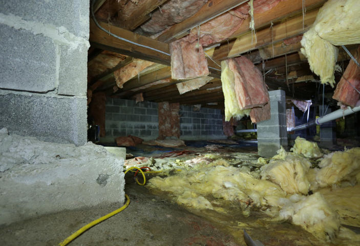 Crawl Space Cleanup