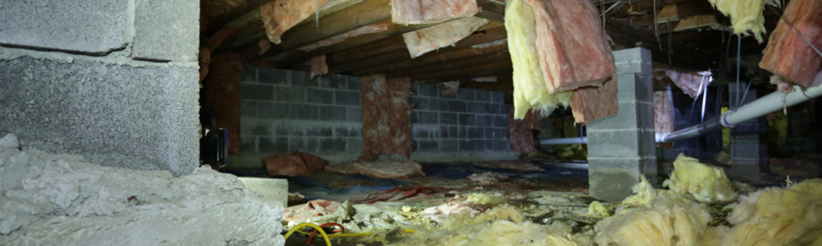 Crawl Space Cleanup