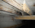 Moldy Crawl Space