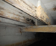 Moldy Crawl Space