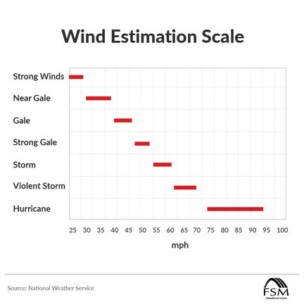 Wind Estimation Scale
