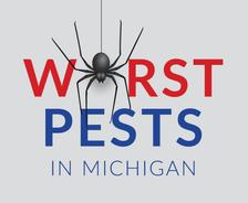 worst pests in Michigan