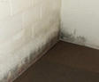 Efflorescence on basement wall.