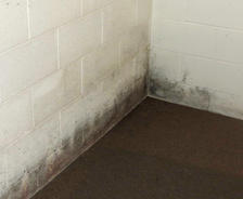 Efflorescence on basement wall.