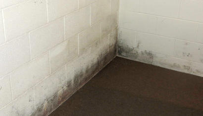 Efflorescence on basement wall.