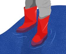effects of standing water on michigan homes