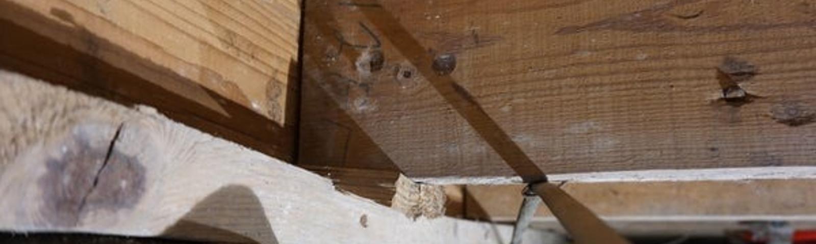 Compromised floor joist