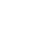 White house icon