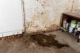 Damp basement wall with water damage, paint cans on a shelf, and fallen leaves near the corner.
