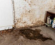 Damp basement wall with water damage, paint cans on a shelf, and fallen leaves near the corner.