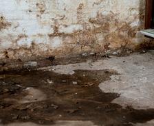 Wet, muddy floor in a basement with a damp, stained wall and a shelf in the corner.