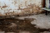 Water damage and mold on a dirty basement wall with a wet, stained concrete floor.